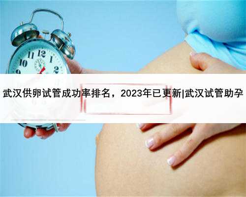 <b>武汉供卵试管成功率排名，2023年已更新|武汉试管助孕</b>